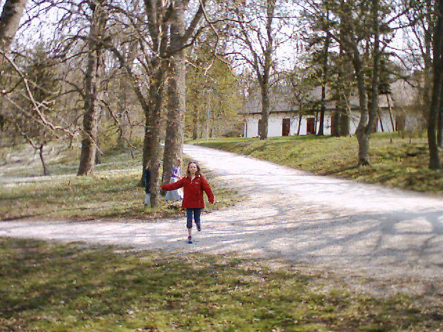 Bild 28.jpg